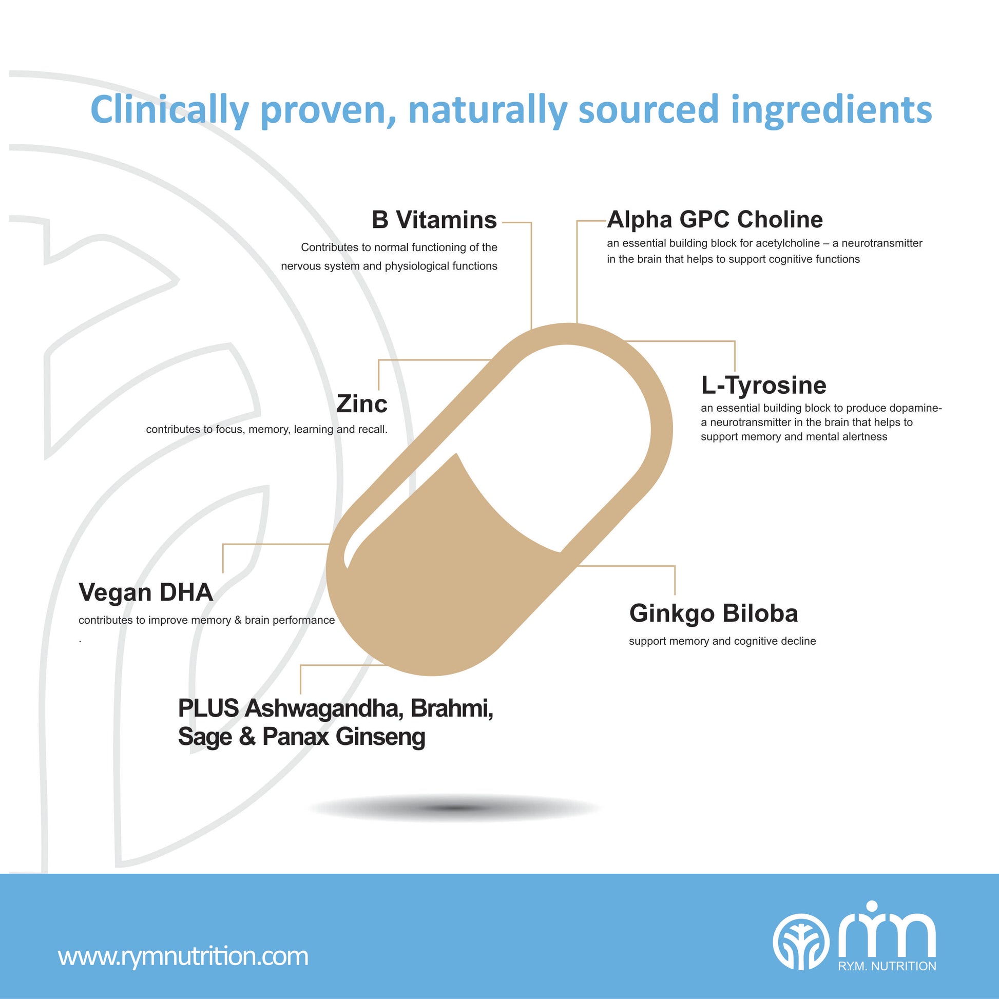 FOCUS & MEMORY - R.Y.M. Nutrition